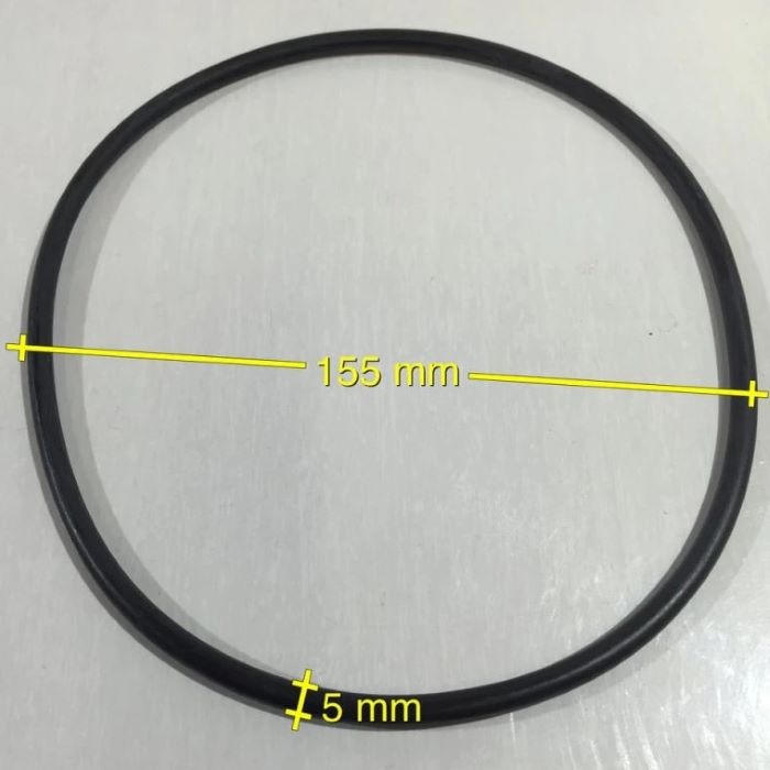 Intex O-Ring für Filterdeckel