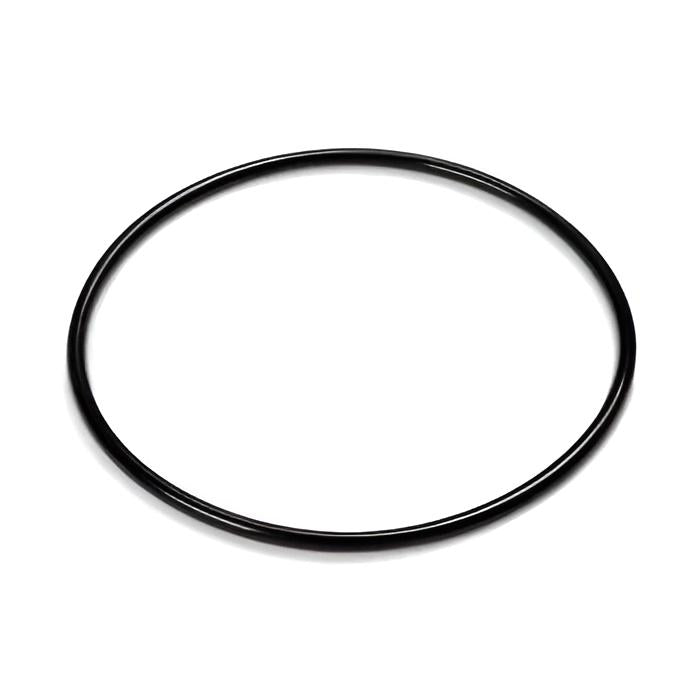 Intex O-Ring für Titan Elektrode – Ersatzdichtung für Salzwassersysteme