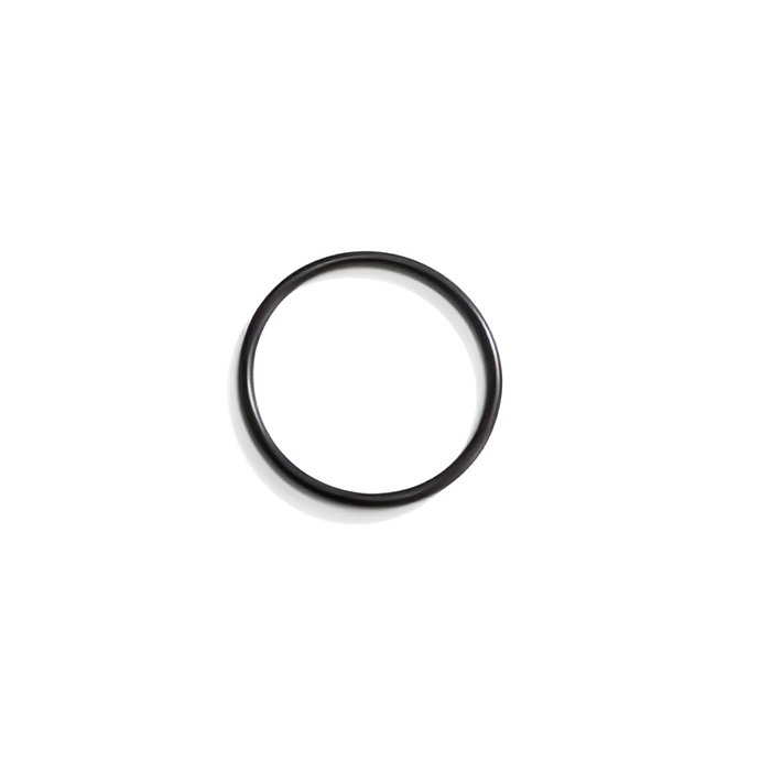Intex O-Ring für transparenten Vorfilter